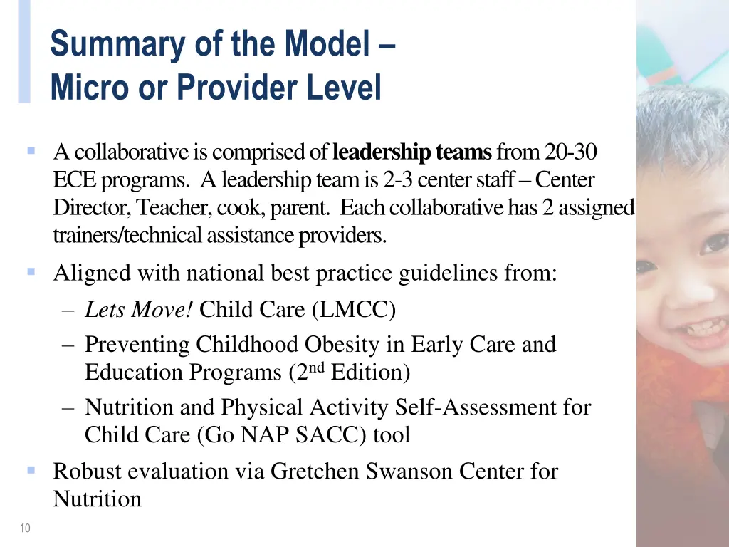 summary of the model micro or provider level