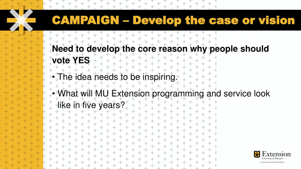 campaign campaign develop the case or vision