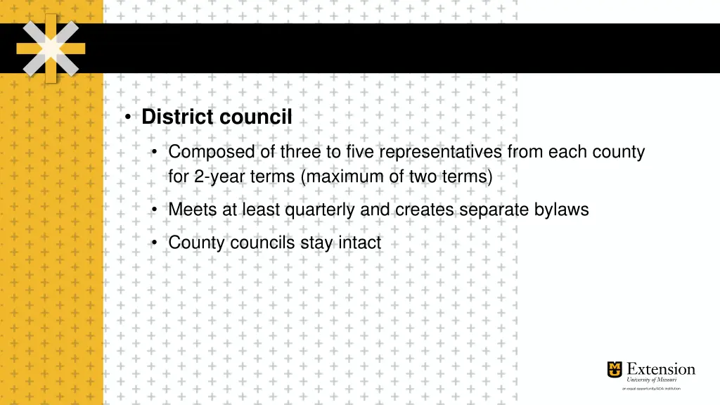 district council