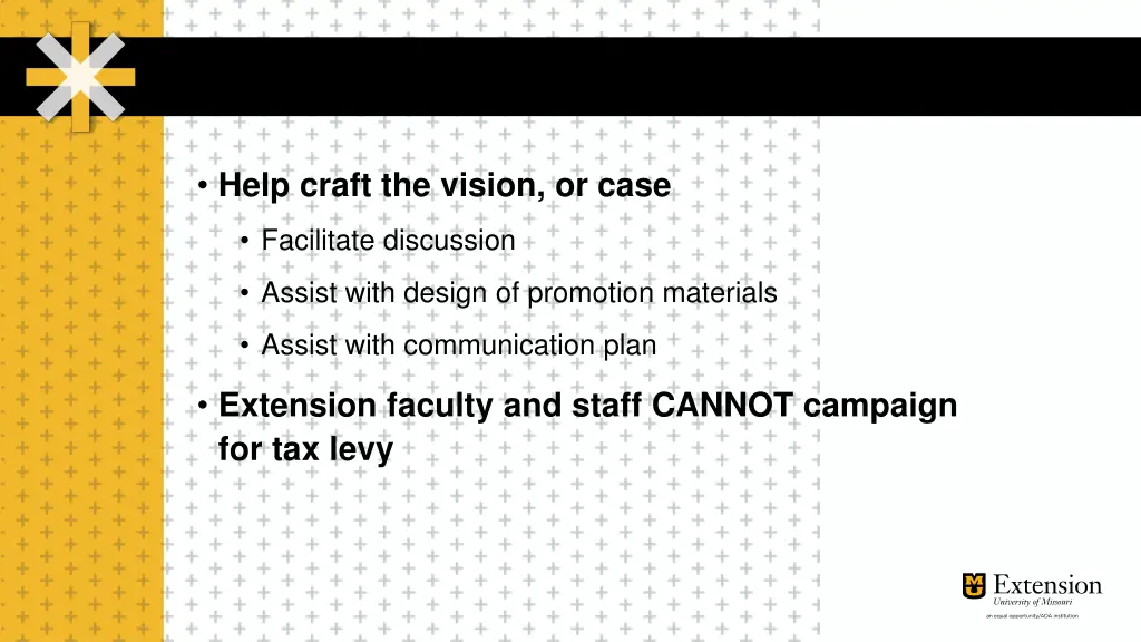 help craft the vision or case