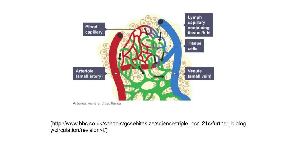http www bbc co uk schools gcsebitesize science