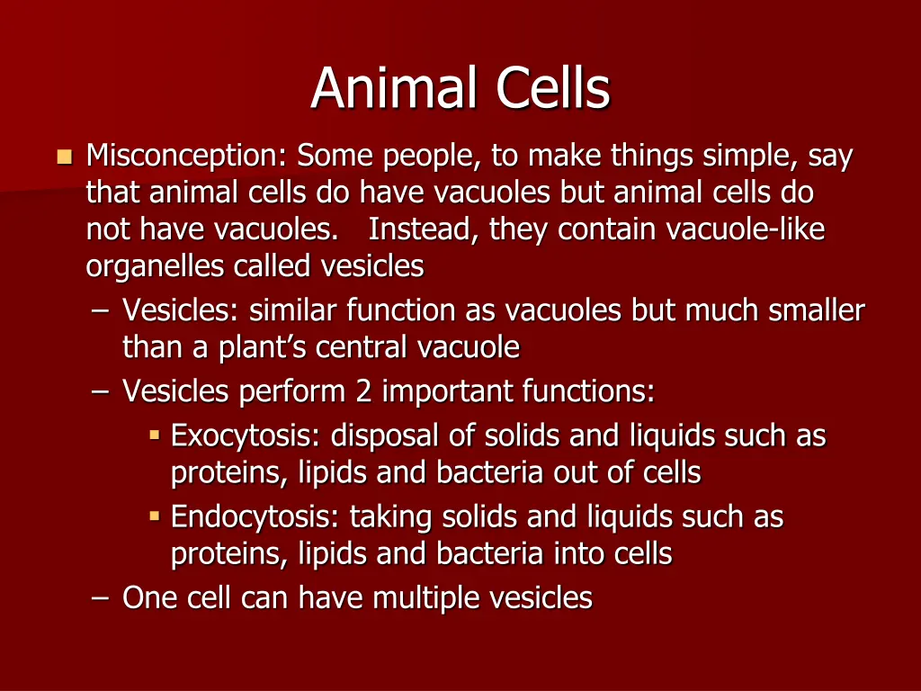 animal cells