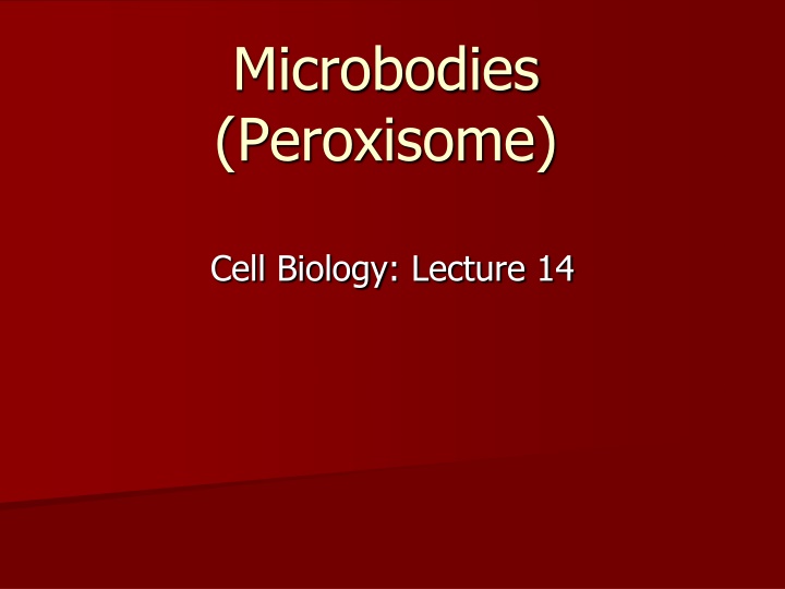 microbodies peroxisome