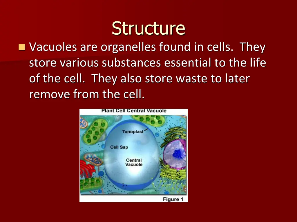 structure 1