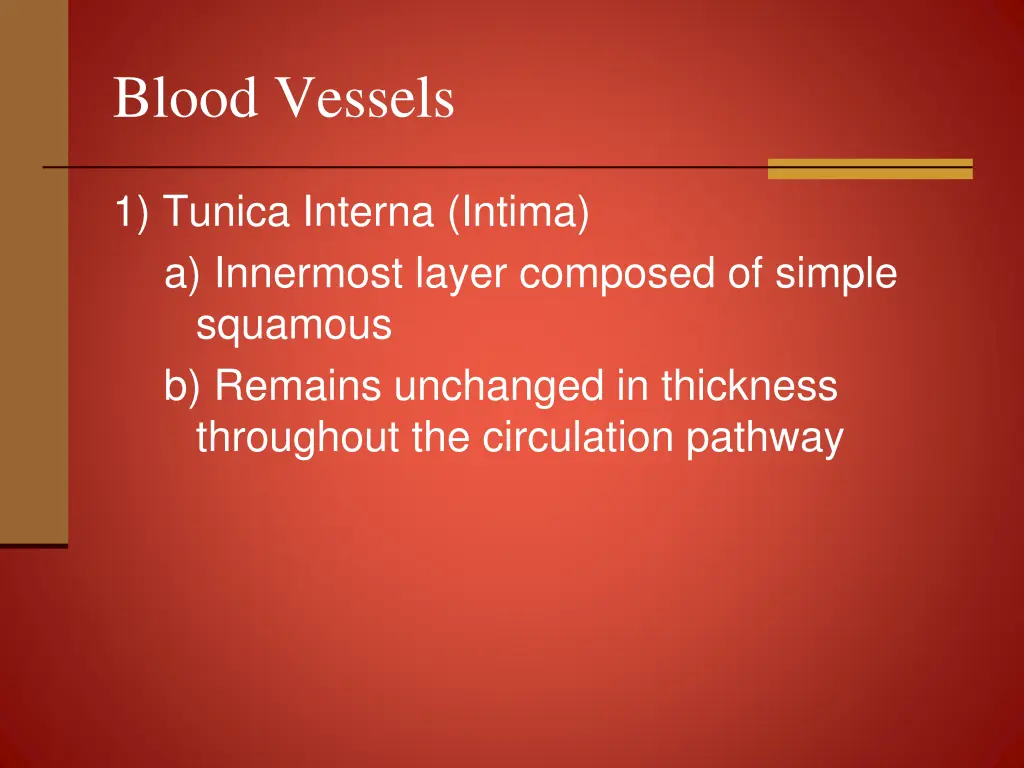 blood vessels 1