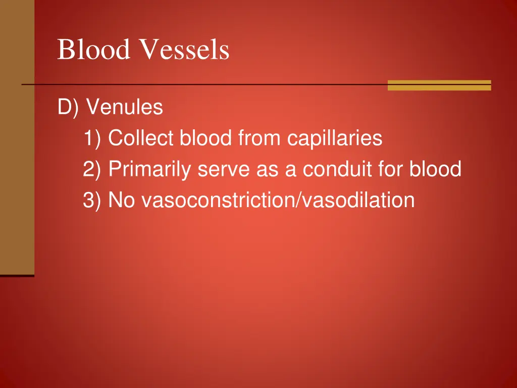 blood vessels 13