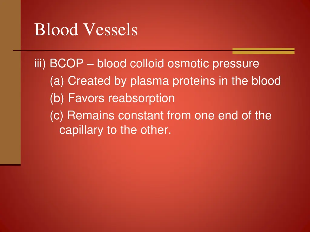 blood vessels 19