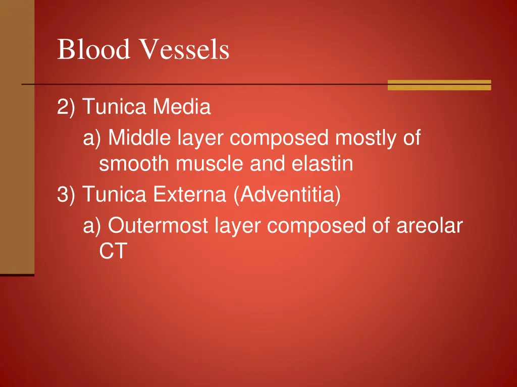 blood vessels 2
