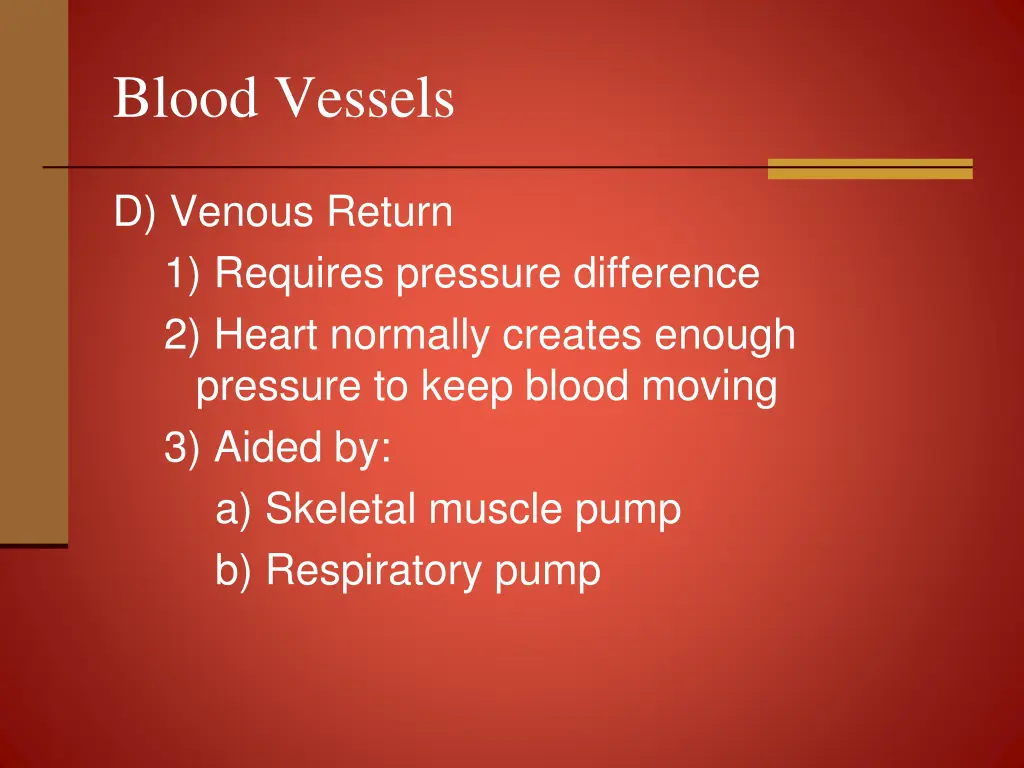 blood vessels 25