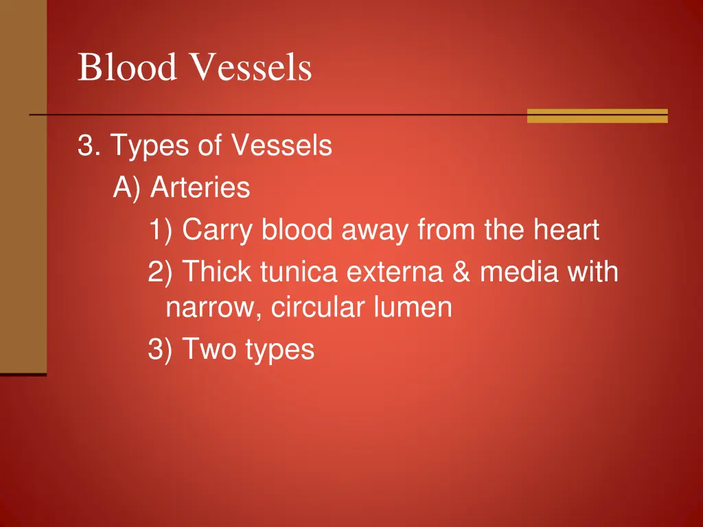blood vessels 3