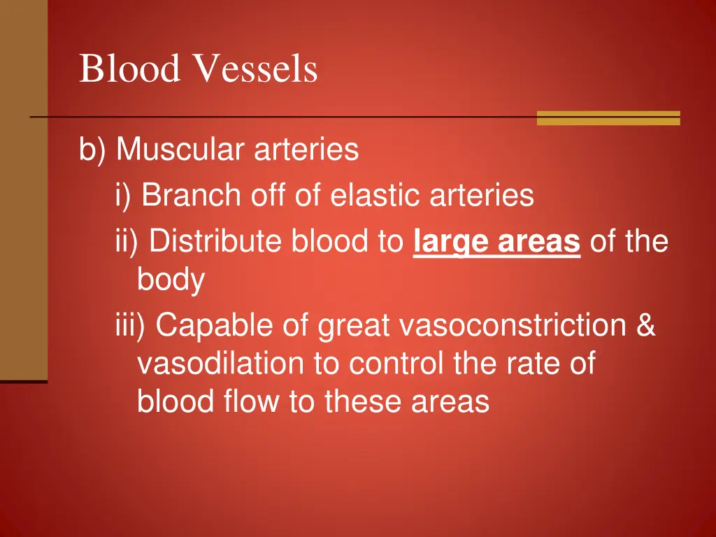 blood vessels 5