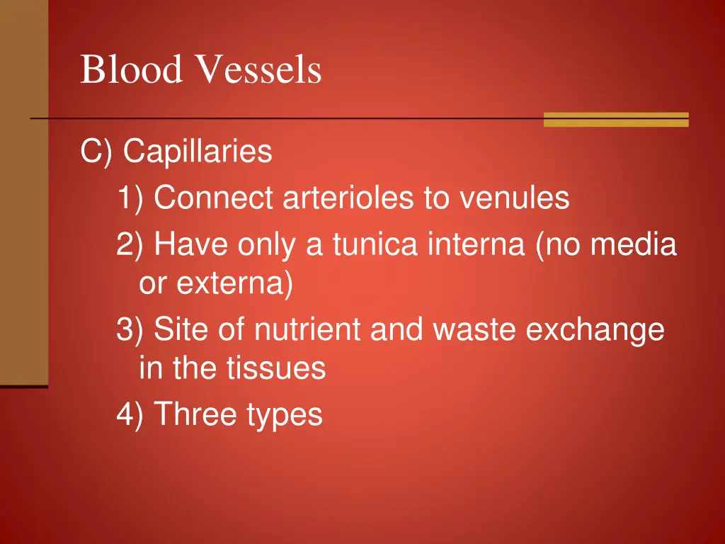 blood vessels 7