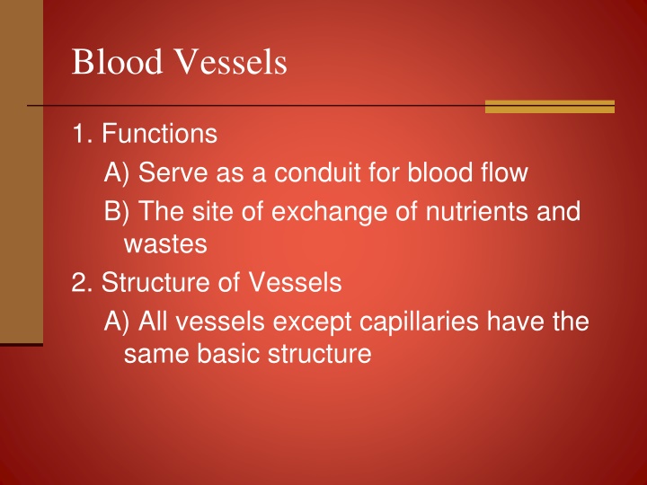 blood vessels