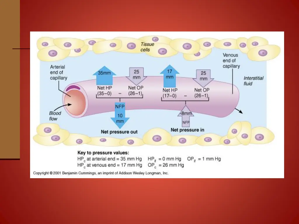 slide24