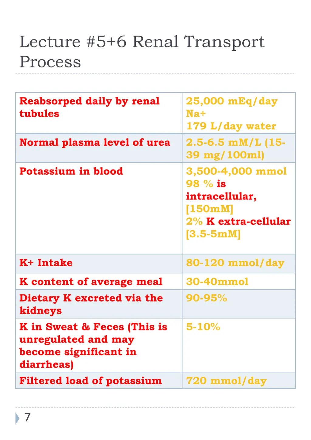 lecture 5 6 renal transport process