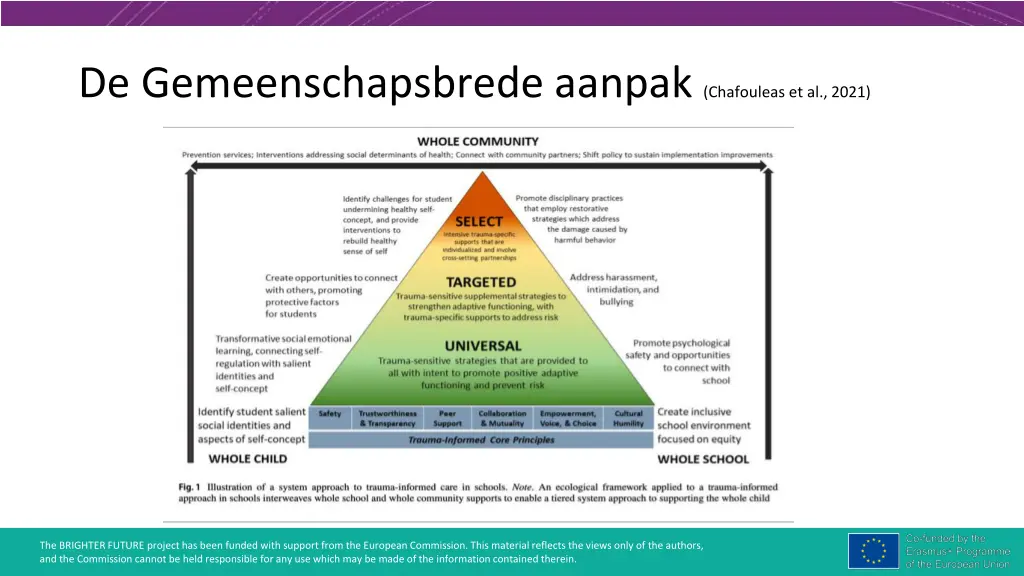 de gemeenschapsbrede aanpak chafouleas et al 2021