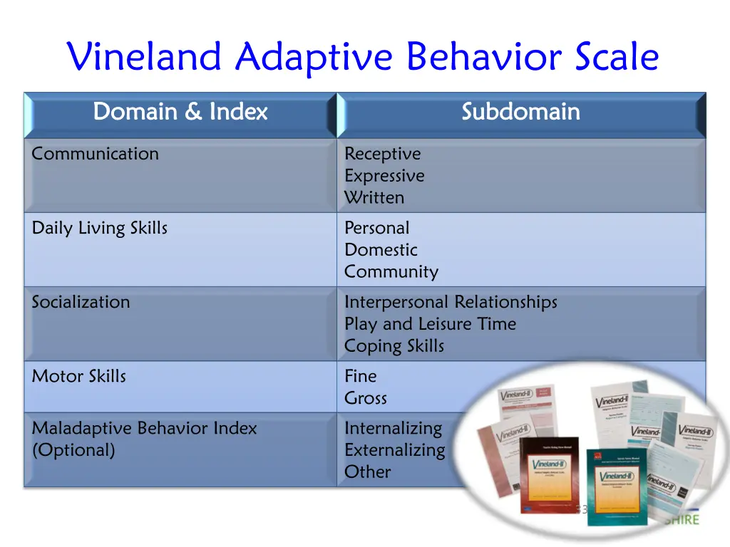 vineland adaptive behavior scale