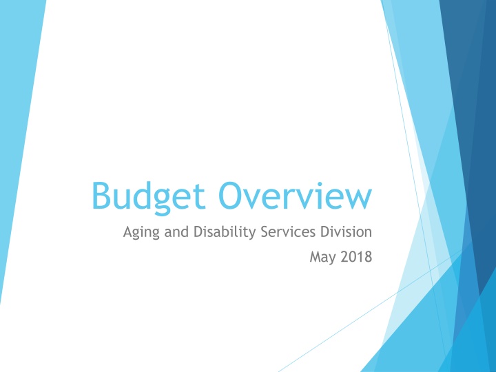 budget overview aging and disability services