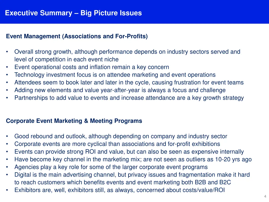 executive summary big picture issues