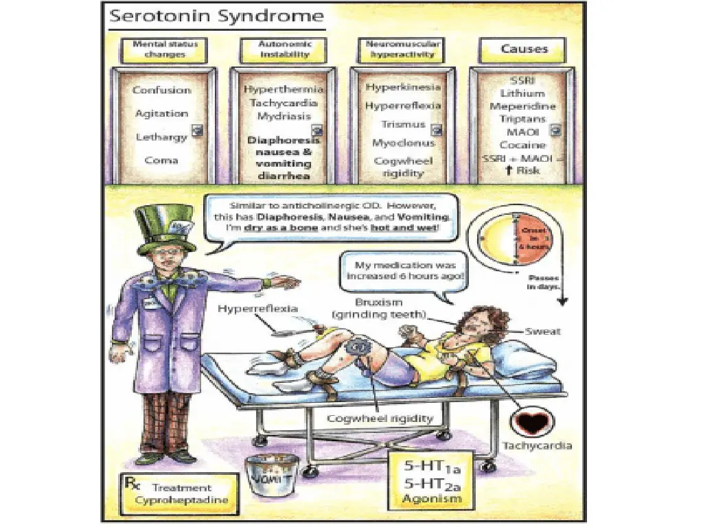 slide16