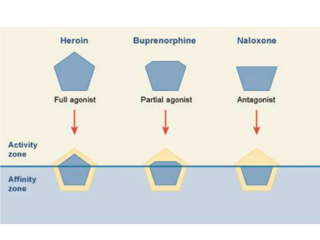 slide24