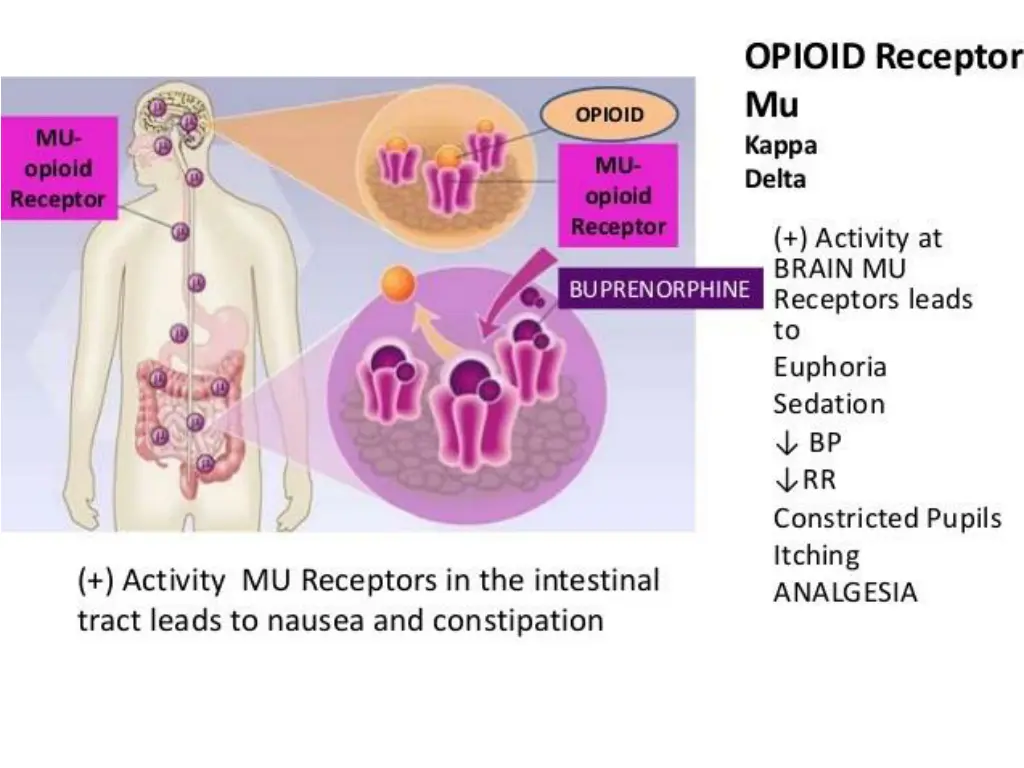slide8