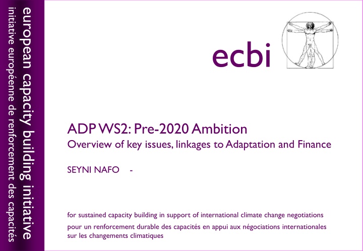 initiative europ enne de renforcement des capacit