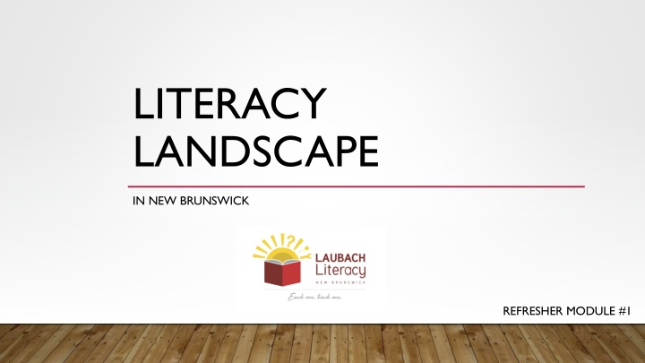 literacy landscape