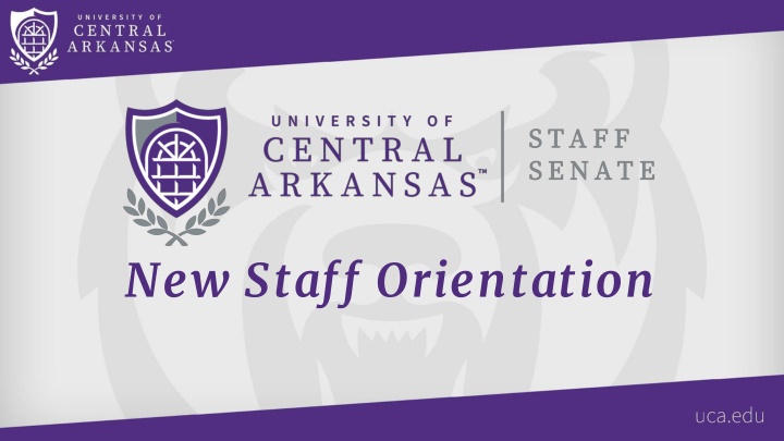 new staff orientation