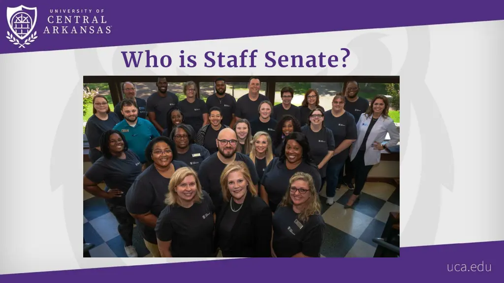 who is staff senate