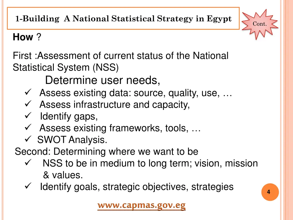 1 building a national statistical strategy