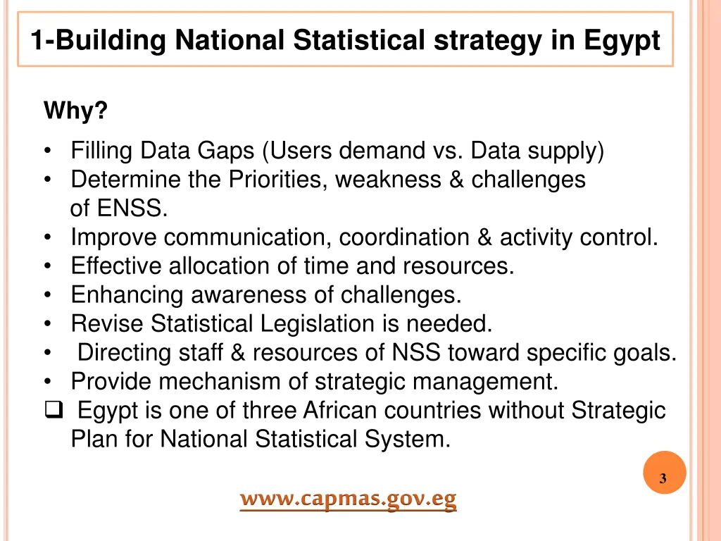1 building national statistical strategy in egypt