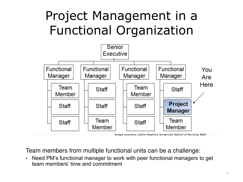 project management in a functional organization