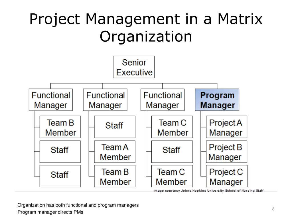 project management in a matrix organization