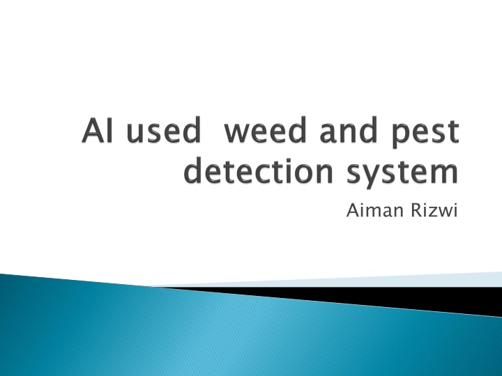 aiman rizwi