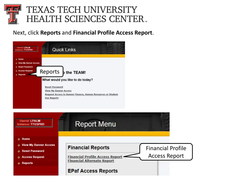 next click reports and financial profile access