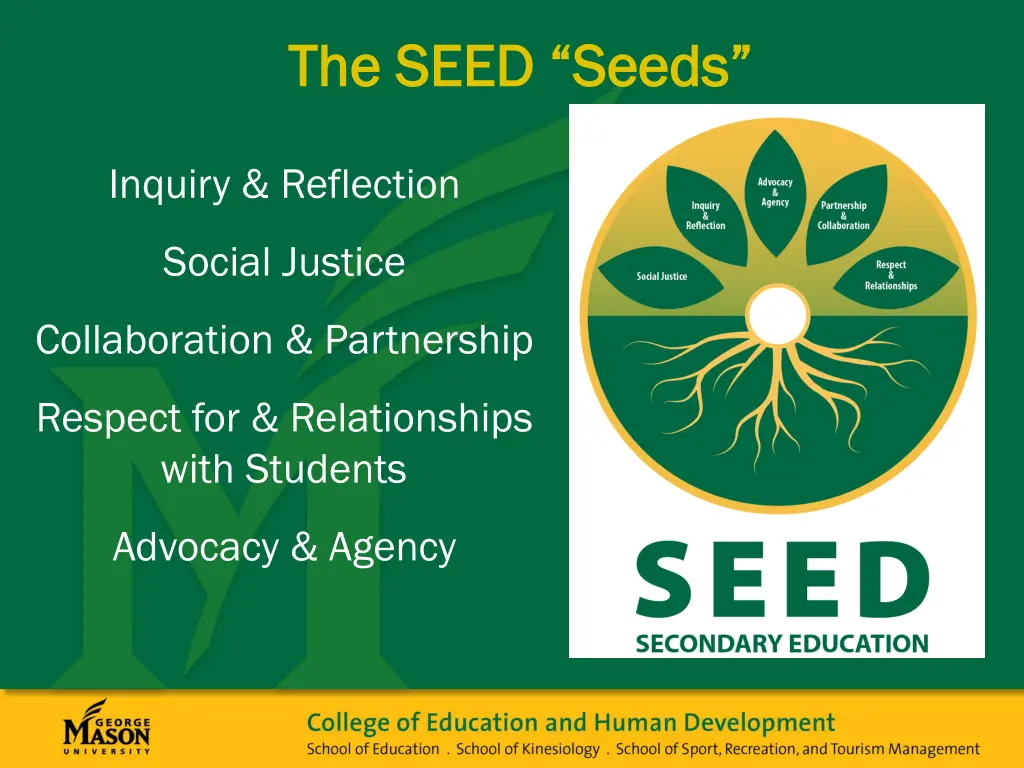 the seed seeds the seed seeds