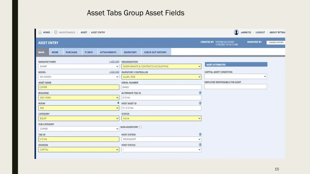 asset tabs group asset fields