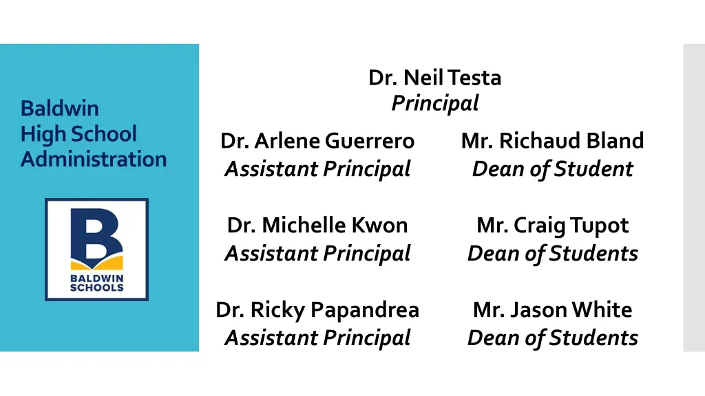 dr neil testa principal