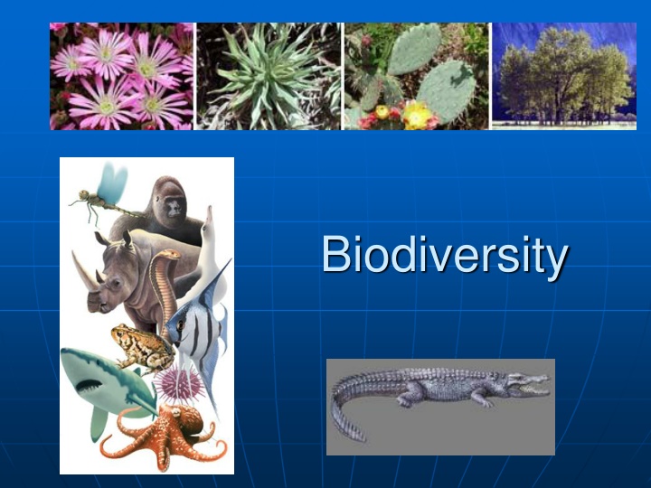 biodiversity