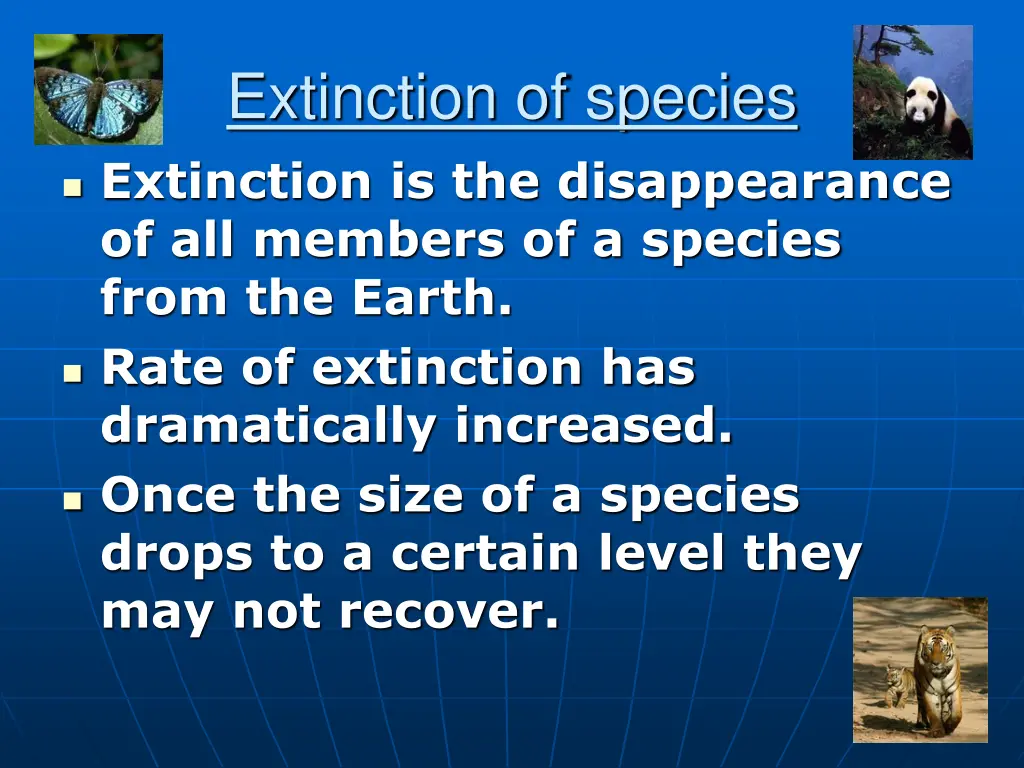 extinction of species