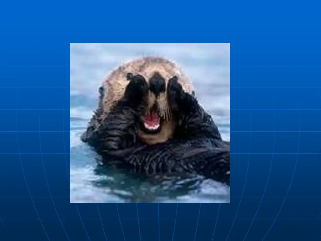 the conservation report