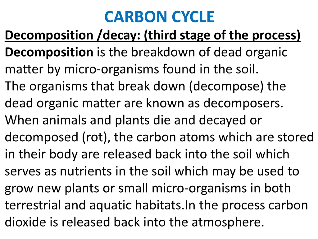carbon cycle 10