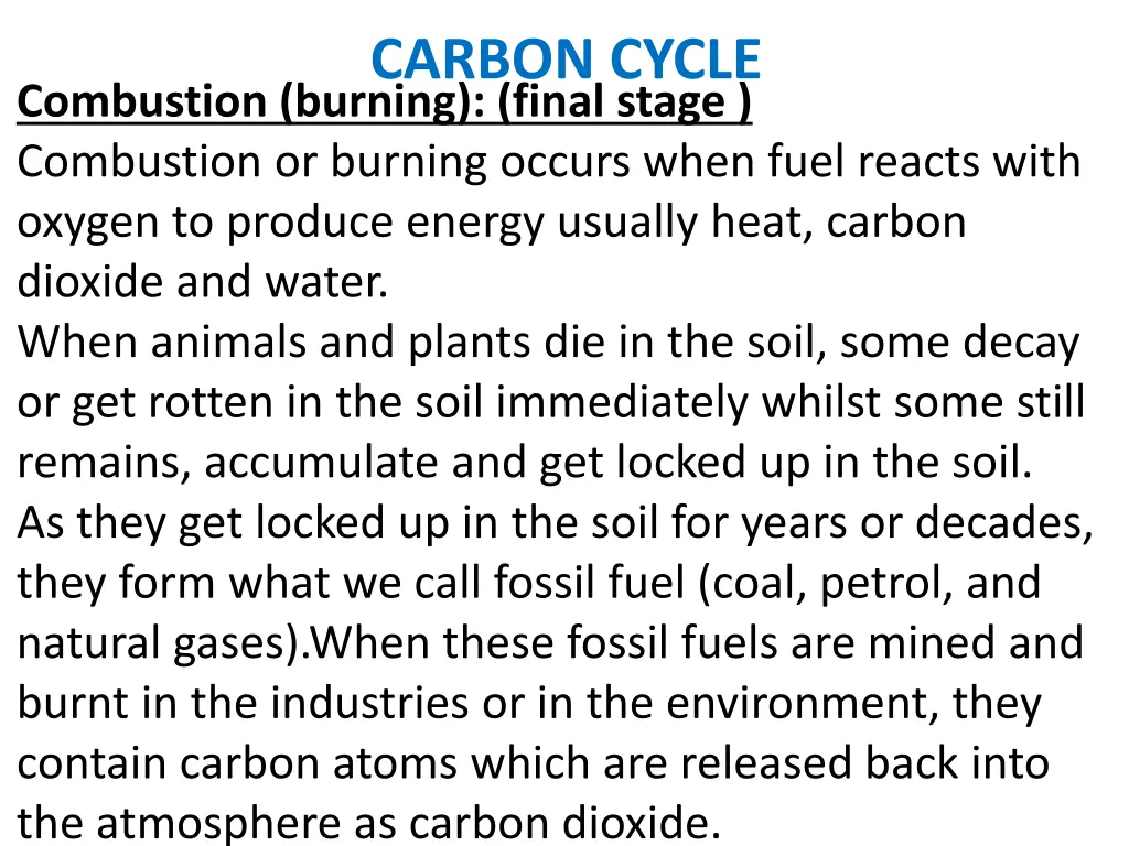 carbon cycle 11