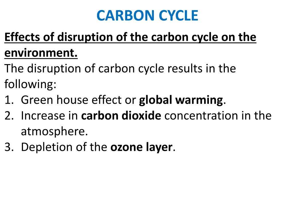 carbon cycle 17