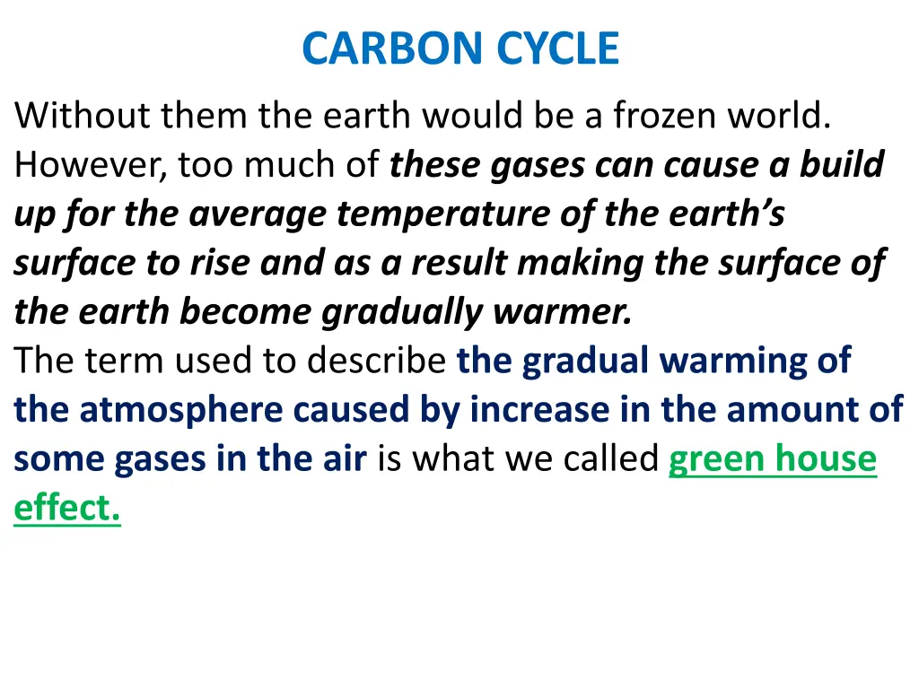 carbon cycle 19
