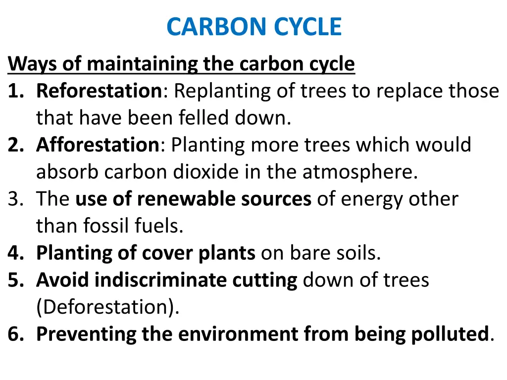 carbon cycle 24