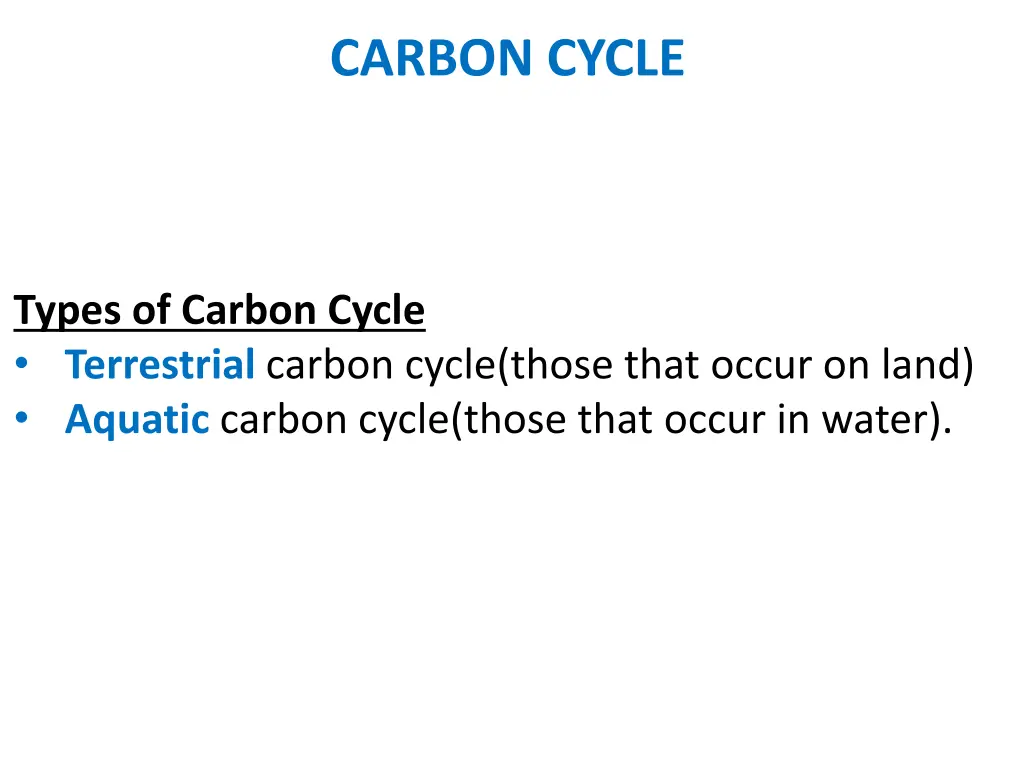 carbon cycle 3