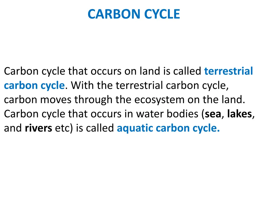 carbon cycle 5