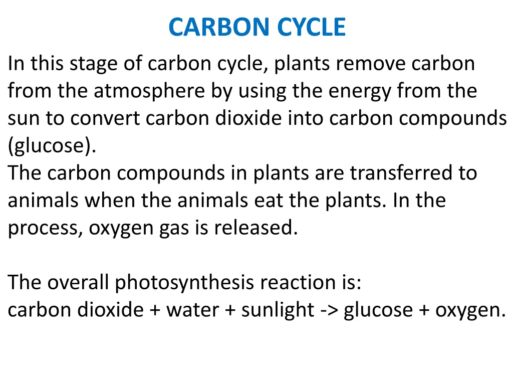 carbon cycle 8